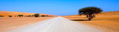 Venture off-road in Oman