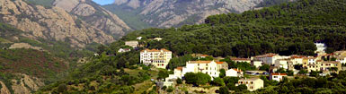Corsica: la via della castagna