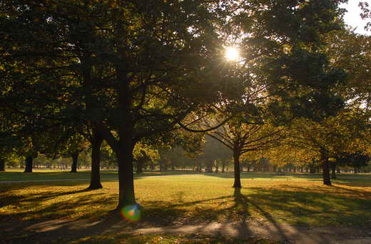Regents Park, der Londoner Wald