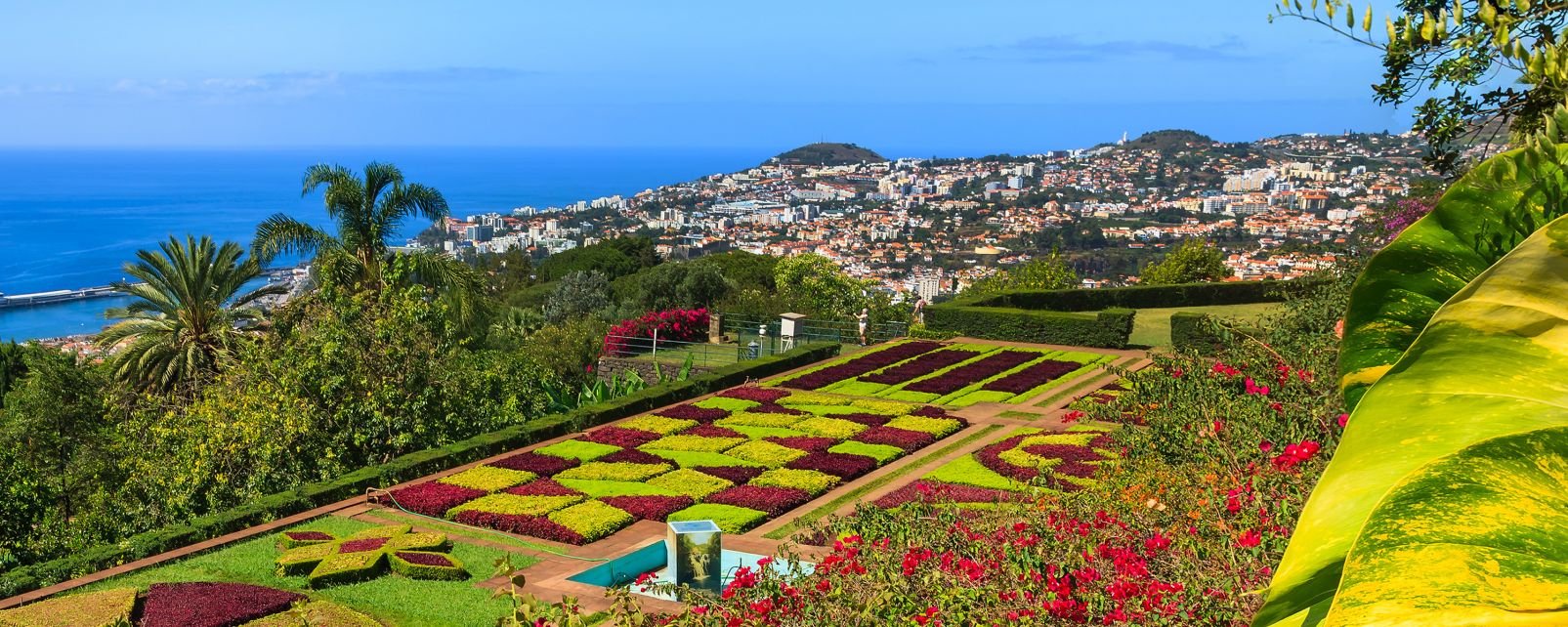 Europe; Portugal; Madère; Funchal;