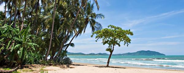 Weather Forecast Tamarindo In November