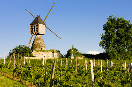 Loiretal - Entdecken Sie die Schlsser der Weinbauregion