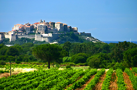 Korsika - Wein und Oliven mit Napoleon und Don Juan