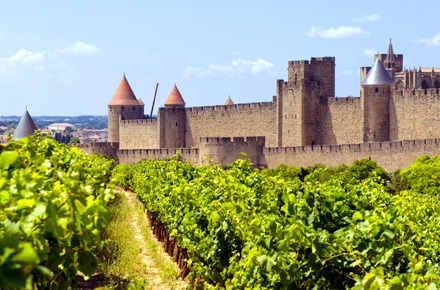 Languedoc-Roussillon - Weinurlaub beim Winzer in Sdfrankreich