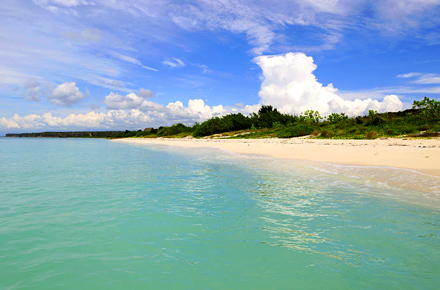 Bahia Las Aguilas en República Dominicana : Las playas más bonitas del  planeta