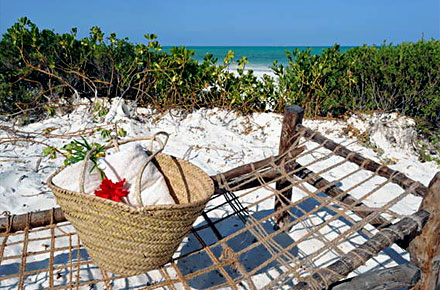 La Plage Grandeur Nature à Zanzibar Les Plus Belles Plages