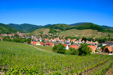 La Route des vins d'Alsace