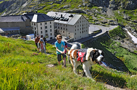Schwingen, Singen, Berge erklimmen: Aktivurlaub in der Schweiz