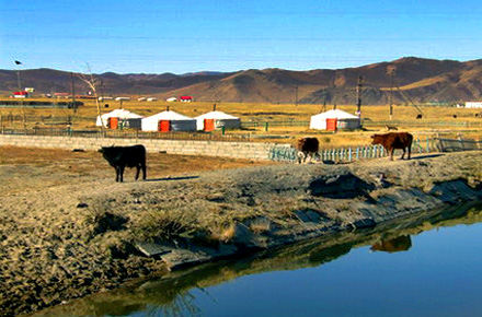 Mongolei: Die Steppe vom Pferdercken aus