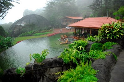 Peace Lodge, Costa Rica : A room with view into the wild