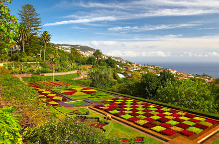 Die Blumeninsel Madeira
