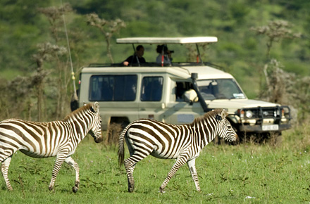 Gruppen-Safari in Tansania