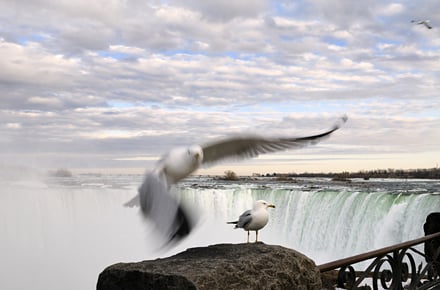 Das Naturschauspiel Niagara Fälle